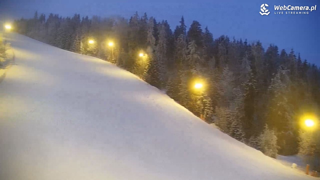 KOTELNICA - Pasieka Express - 01 luty 2026, 16:54