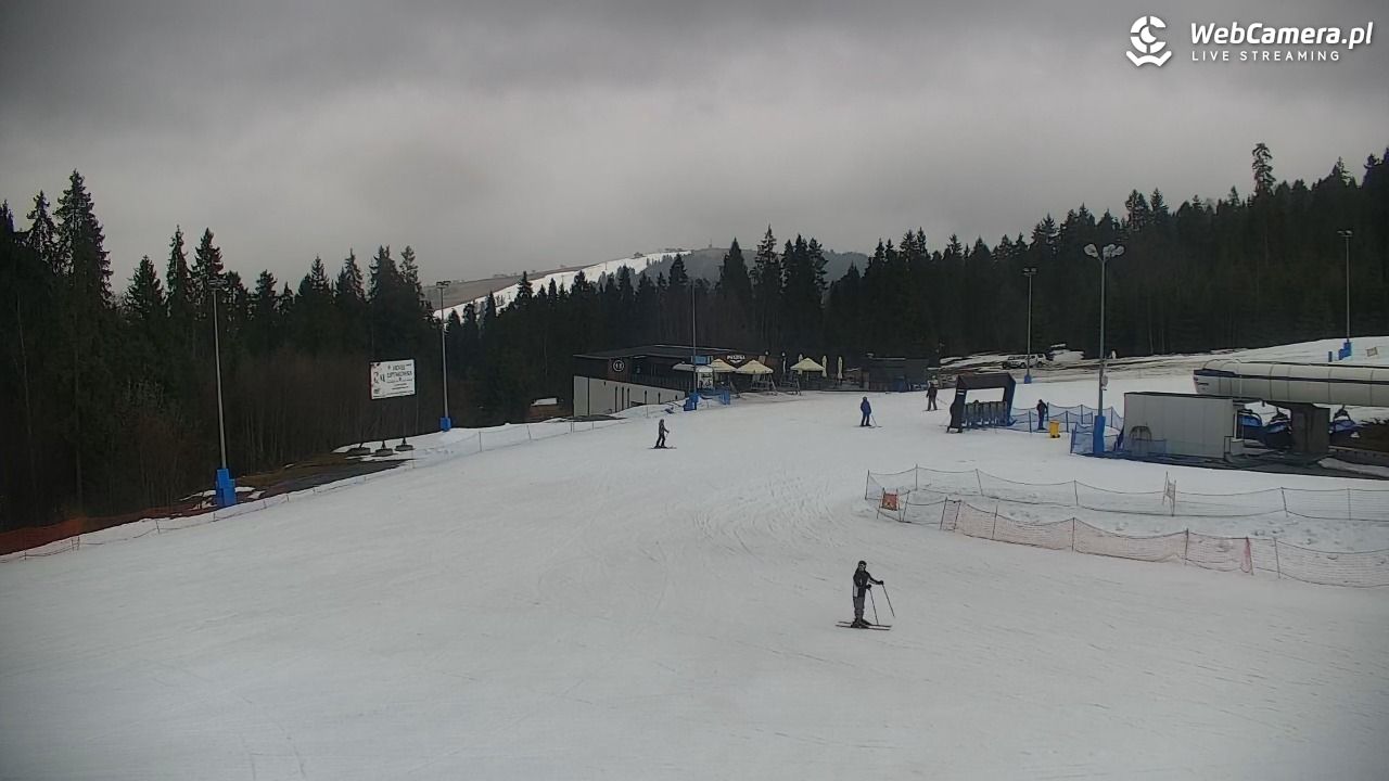 KOTELNICA - Pasieka Express - 17 marzec 2026, 13:58