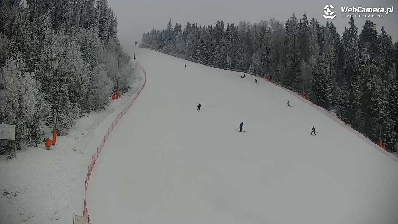 KOTELNICA - Pasieka Express - 01 luty 2026, 15:42