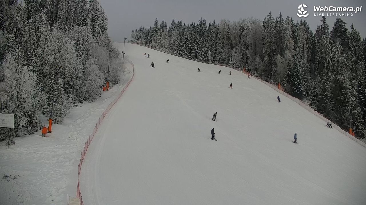 KOTELNICA - Pasieka Express - 01 luty 2026, 11:49