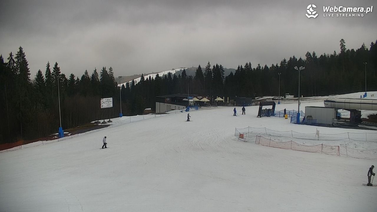 KOTELNICA - Pasieka Express - 17 marzec 2026, 13:58