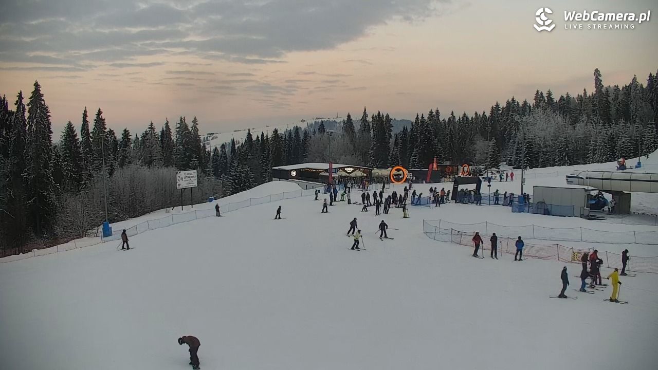 KOTELNICA - Pasieka Express - 02 luty 2026, 16:31