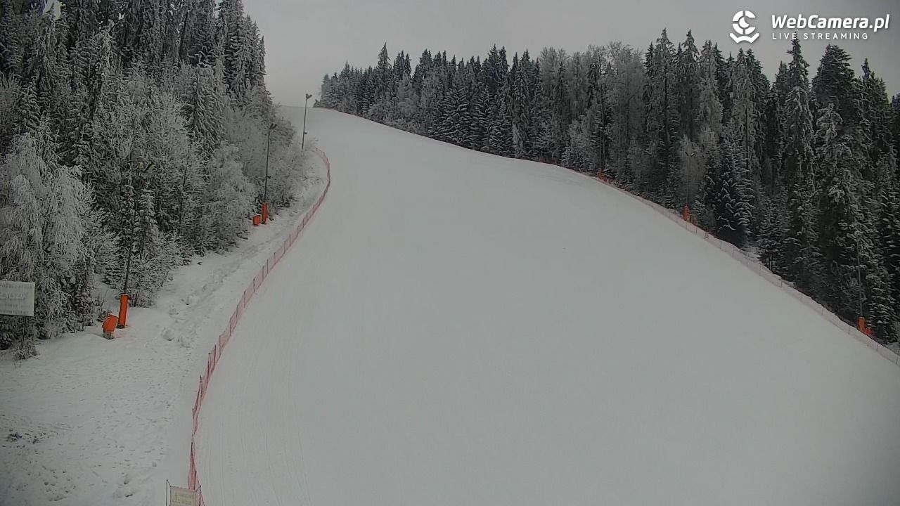 KOTELNICA - Pasieka Express - 02 luty 2026, 08:34