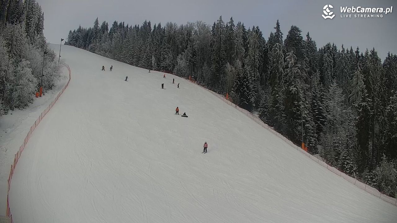 KOTELNICA - Pasieka Express - 02 luty 2026, 13:27