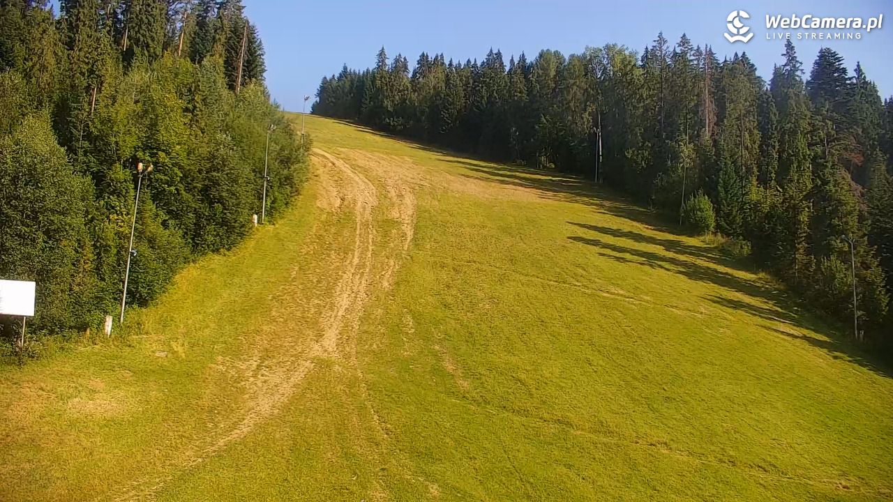 KOTELNICA - Pasieka Express - 01 sierpień 2026, 08:39