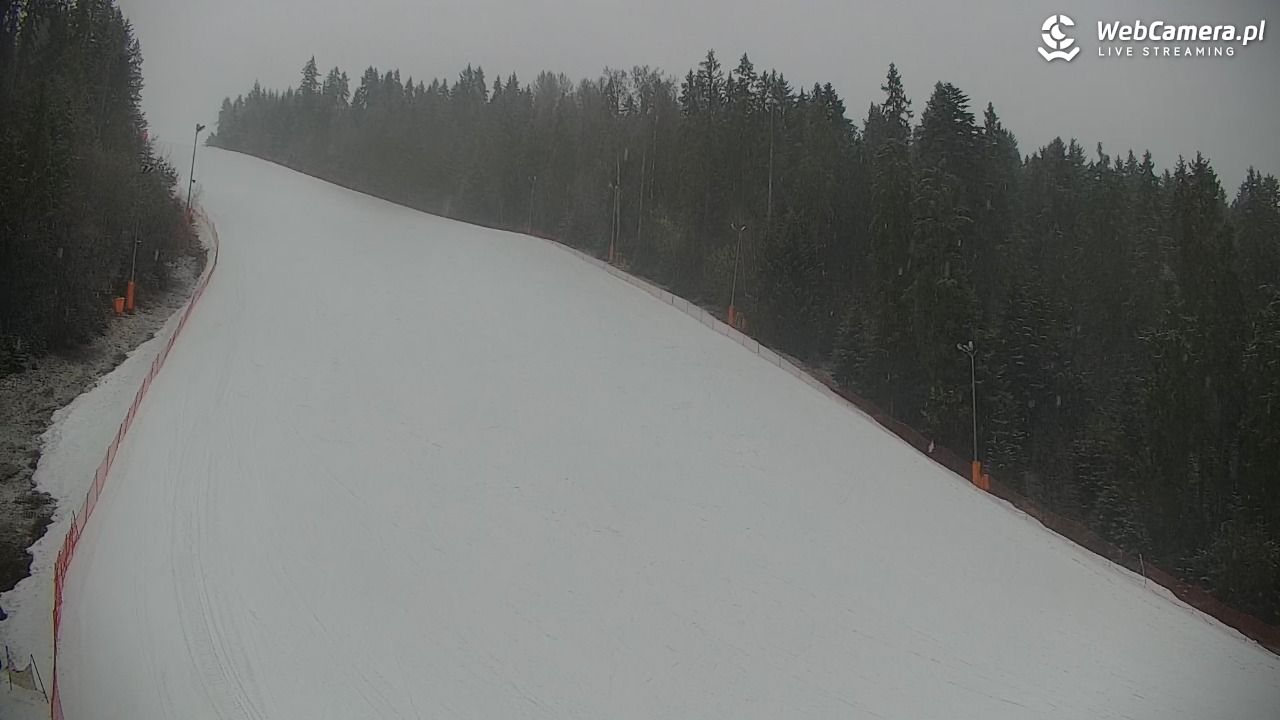 KOTELNICA - Pasieka Express - 17 marzec 2026, 17:07