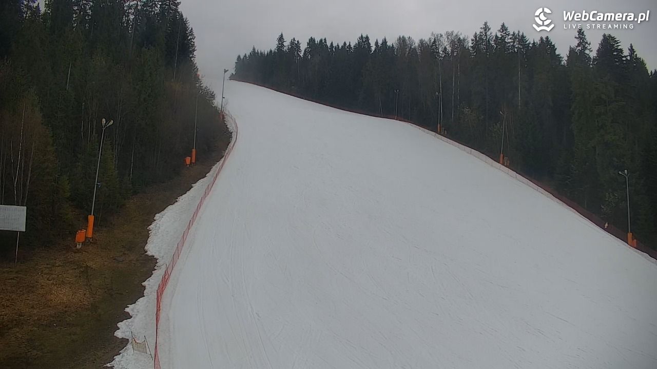 KOTELNICA - Pasieka Express - 17 marzec 2026, 12:26