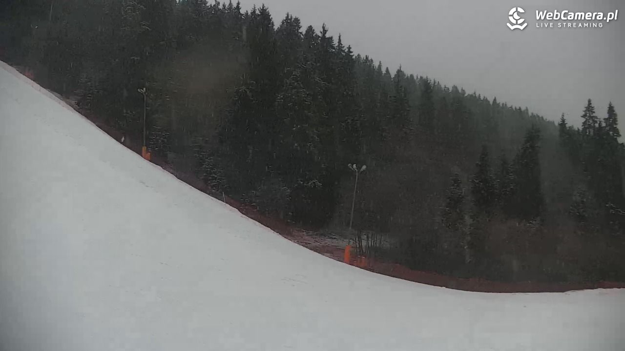 KOTELNICA - Pasieka Express - 17 marzec 2026, 17:19