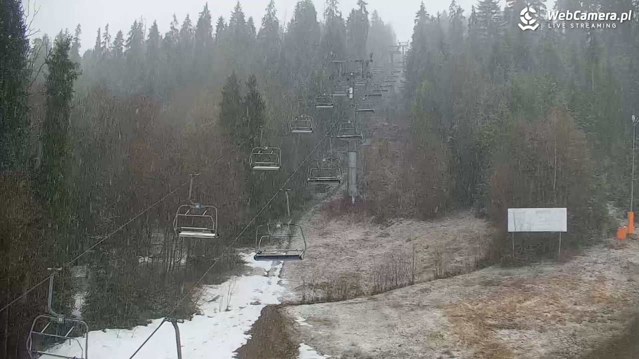 KOTELNICA - Pasieka Express - 17 marzec 2026, 16:43