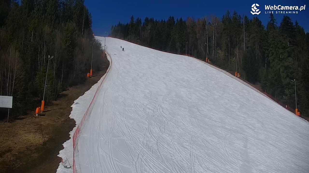 KOTELNICA - Pasieka Express - 21 marzec 2026, 12:06