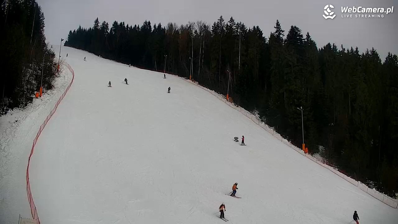 KOTELNICA - Pasieka Express - 07 grudzień 2025, 10:09