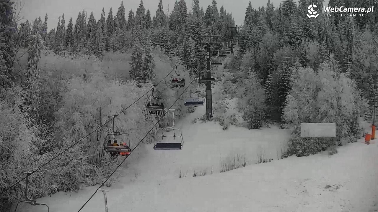 KOTELNICA - Pasieka Express - 01 luty 2026, 16:05