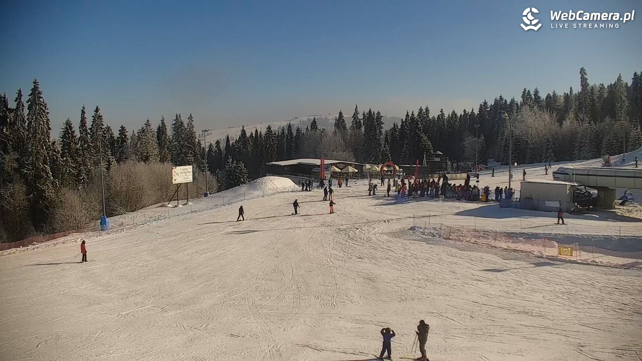 KOTELNICA - Pasieka Express - 01 luty 2026, 10:50