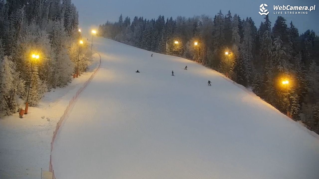 KOTELNICA - Pasieka Express - 01 luty 2026, 16:44