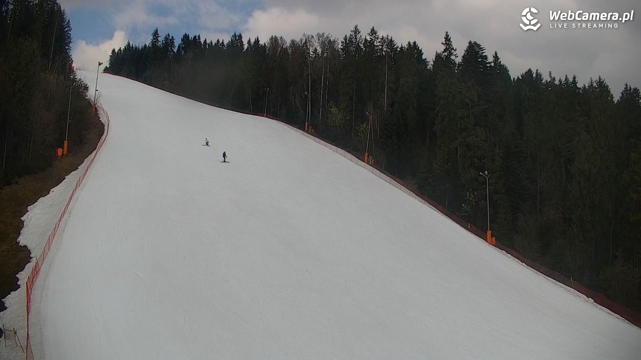 KOTELNICA - Pasieka Express - 20 marzec 2026, 11:26