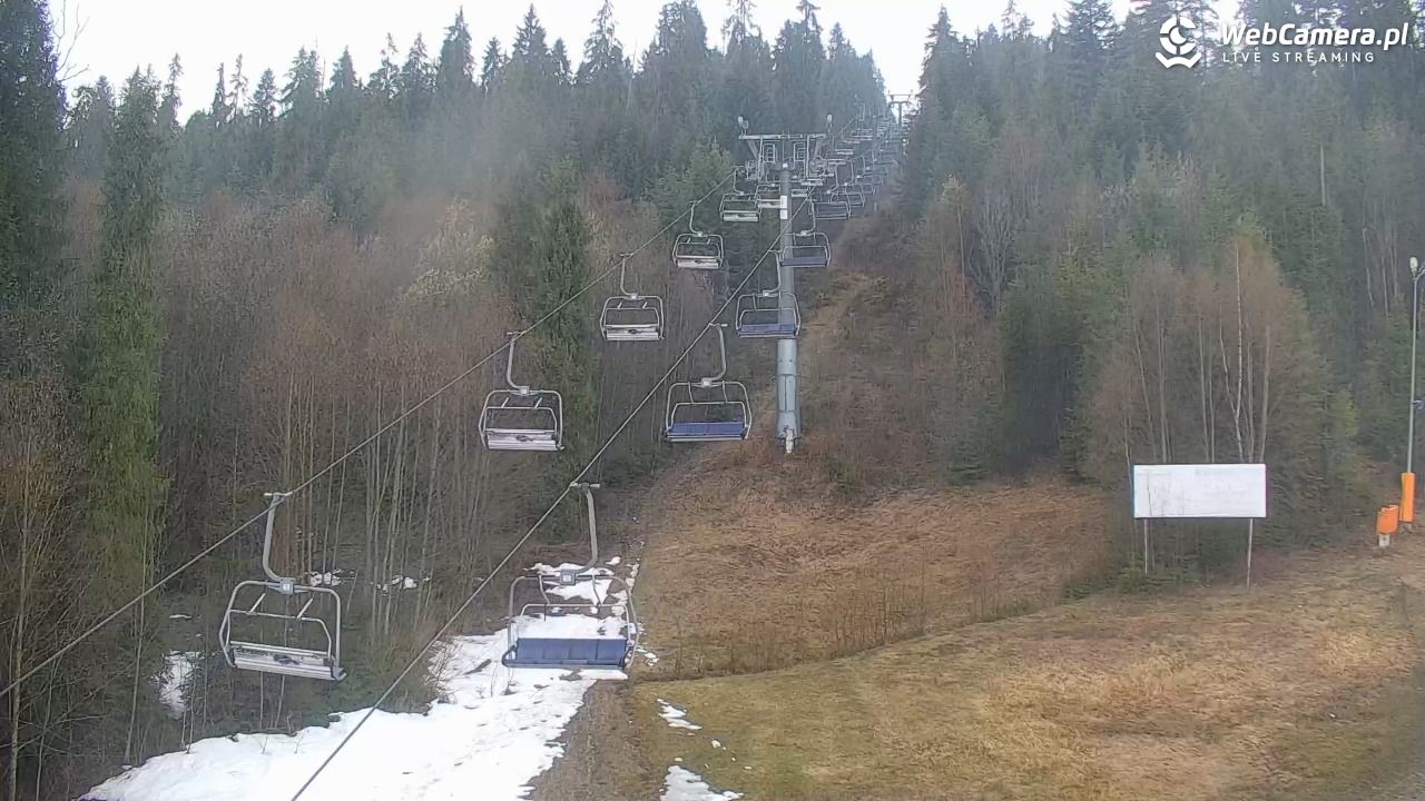 KOTELNICA - Pasieka Express - 17 marzec 2026, 13:07