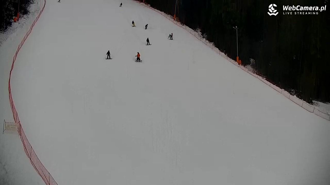 KOTELNICA - Pasieka Express - 07 grudzień 2025, 10:22