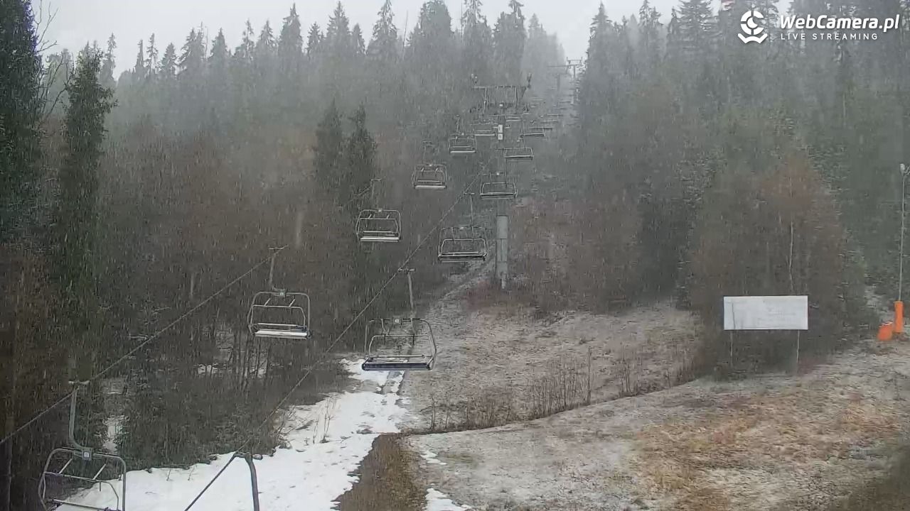 KOTELNICA - Pasieka Express - 17 marzec 2026, 16:43