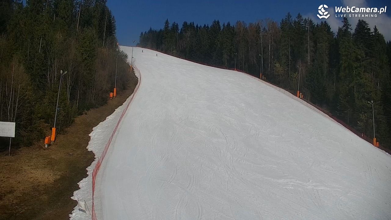 KOTELNICA - Pasieka Express - 20 marzec 2026, 10:13