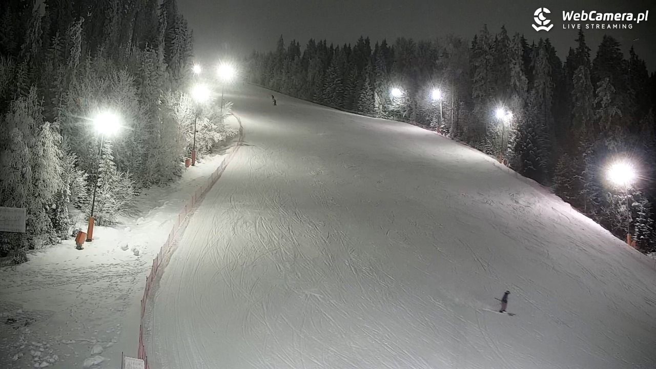 KOTELNICA - Pasieka Express - 01 luty 2026, 18:52