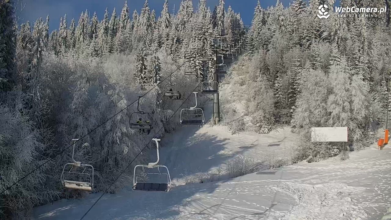 KOTELNICA - Pasieka Express - 01 luty 2026, 10:13