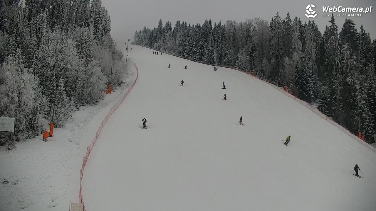 KOTELNICA - Pasieka Express - 01 luty 2026, 14:05