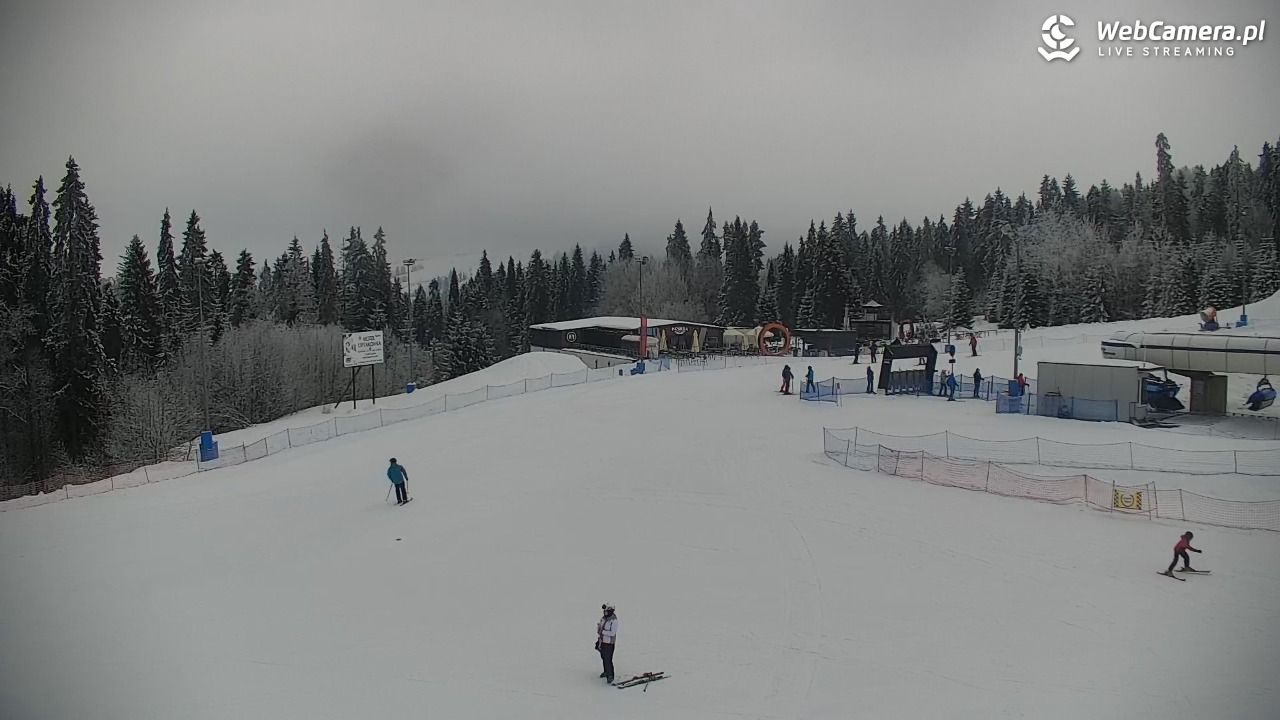 KOTELNICA - Pasieka Express - 02 luty 2026, 09:32