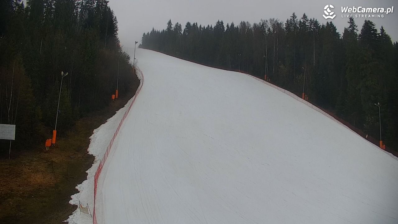 KOTELNICA - Pasieka Express - 17 marzec 2026, 15:45
