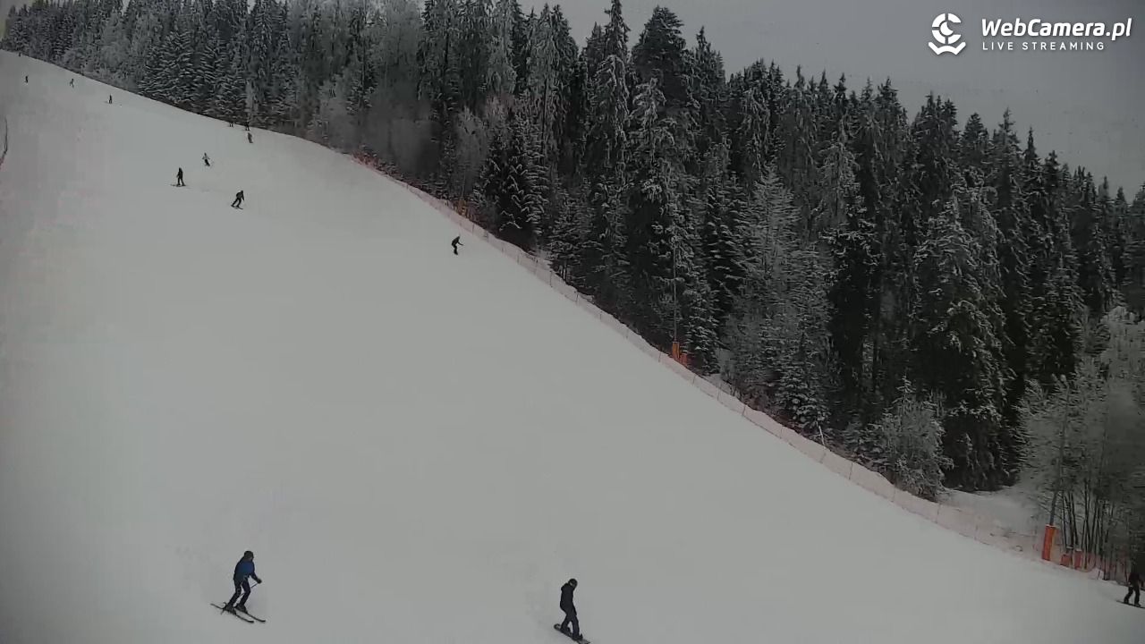 KOTELNICA - Pasieka Express - 02 luty 2026, 11:12