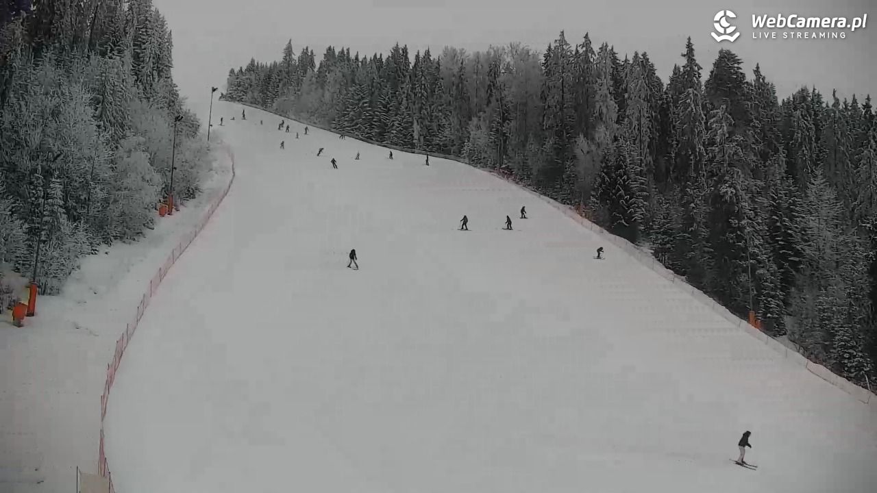 KOTELNICA - Pasieka Express - 01 luty 2026, 12:40