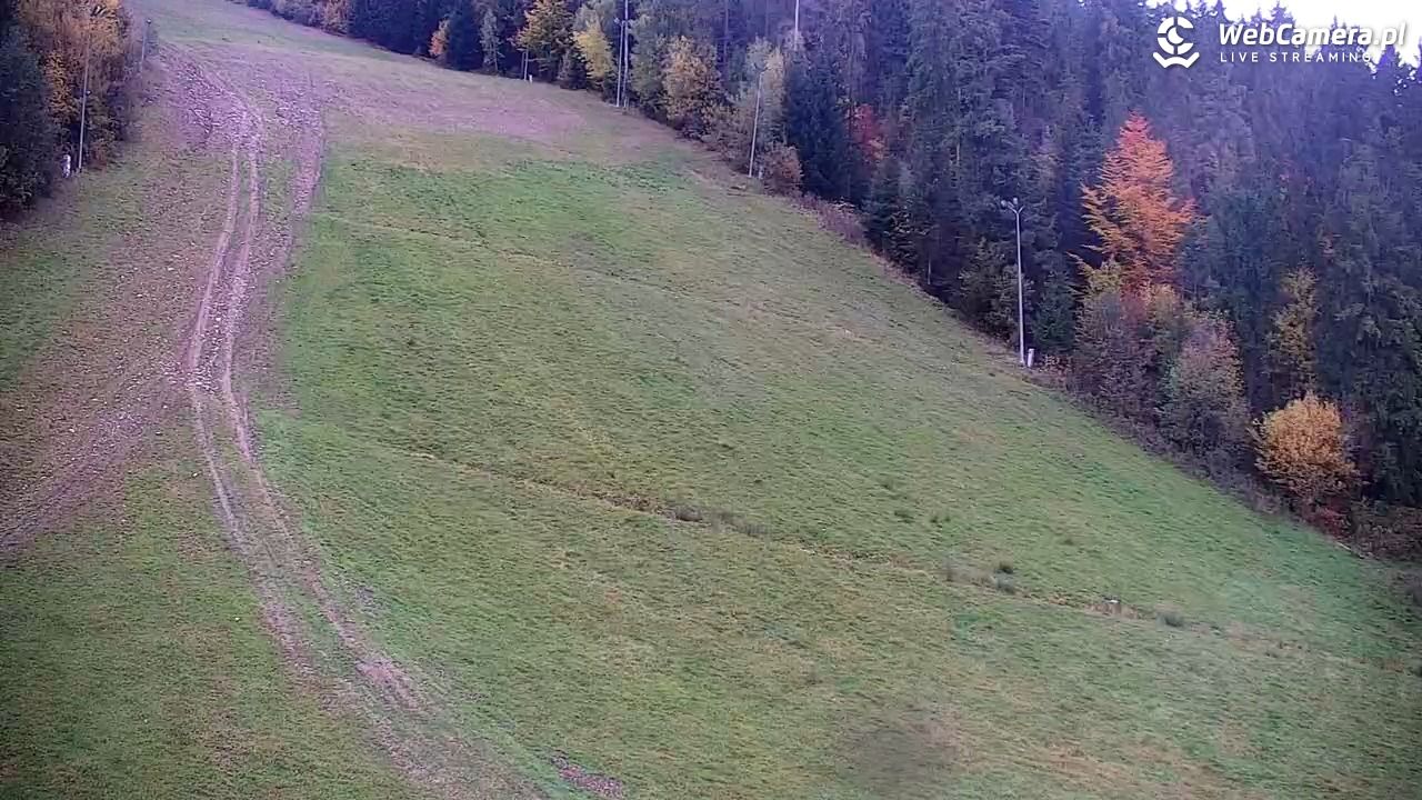 KOTELNICA - Pasieka Express - 17 październik 2025, 07:55