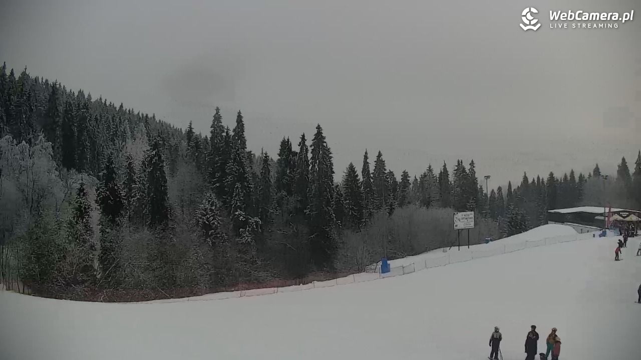 KOTELNICA - Pasieka Express - 01 luty 2026, 15:32