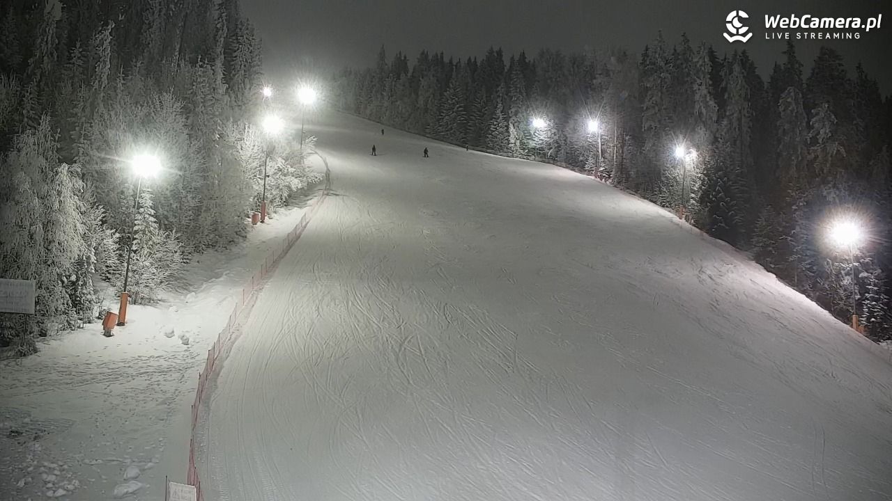 KOTELNICA - Pasieka Express - 01 luty 2026, 19:51