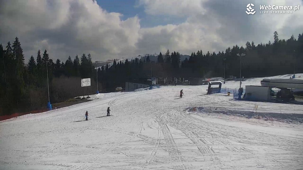 KOTELNICA - Pasieka Express - 21 marzec 2026, 09:42