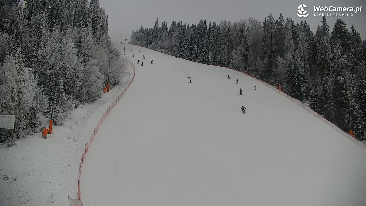 KOTELNICA - Pasieka Express - 02 luty 2026, 10:33