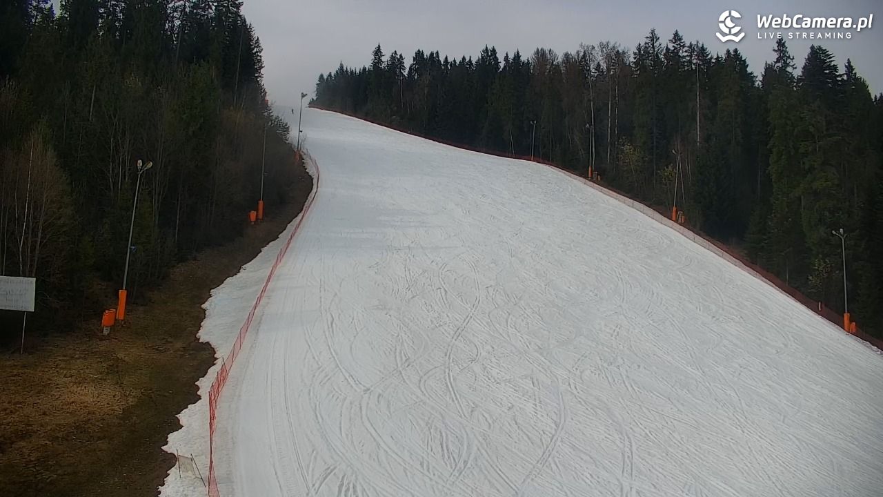 KOTELNICA - Pasieka Express - 20 marzec 2026, 14:49