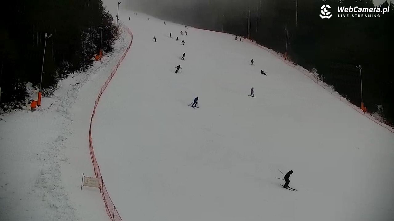 KOTELNICA - Pasieka Express - 07 grudzień 2025, 10:35