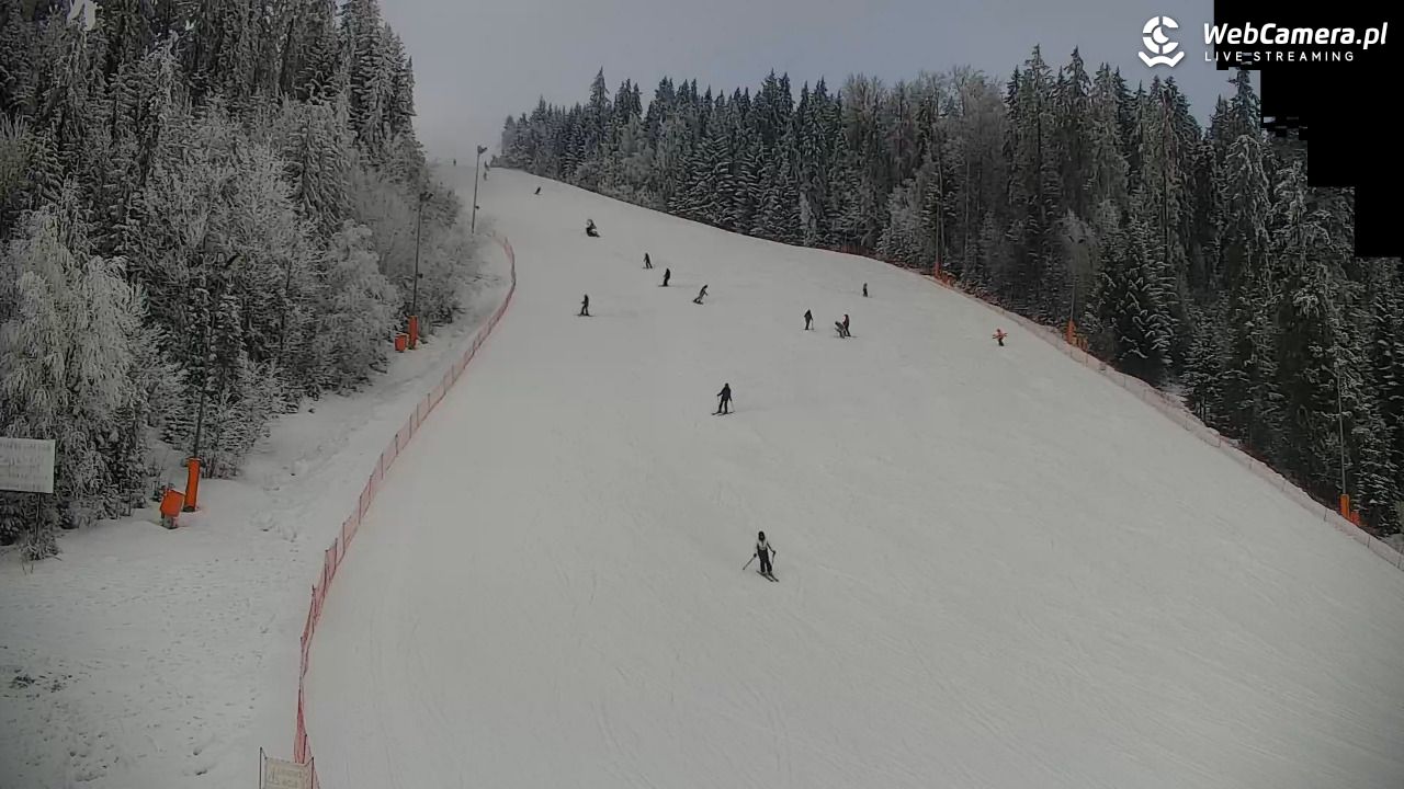 KOTELNICA - Pasieka Express - 02 luty 2026, 13:30