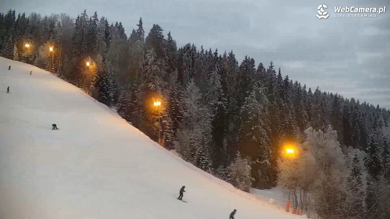 KOTELNICA - Pasieka Express - 02 luty 2026, 16:44