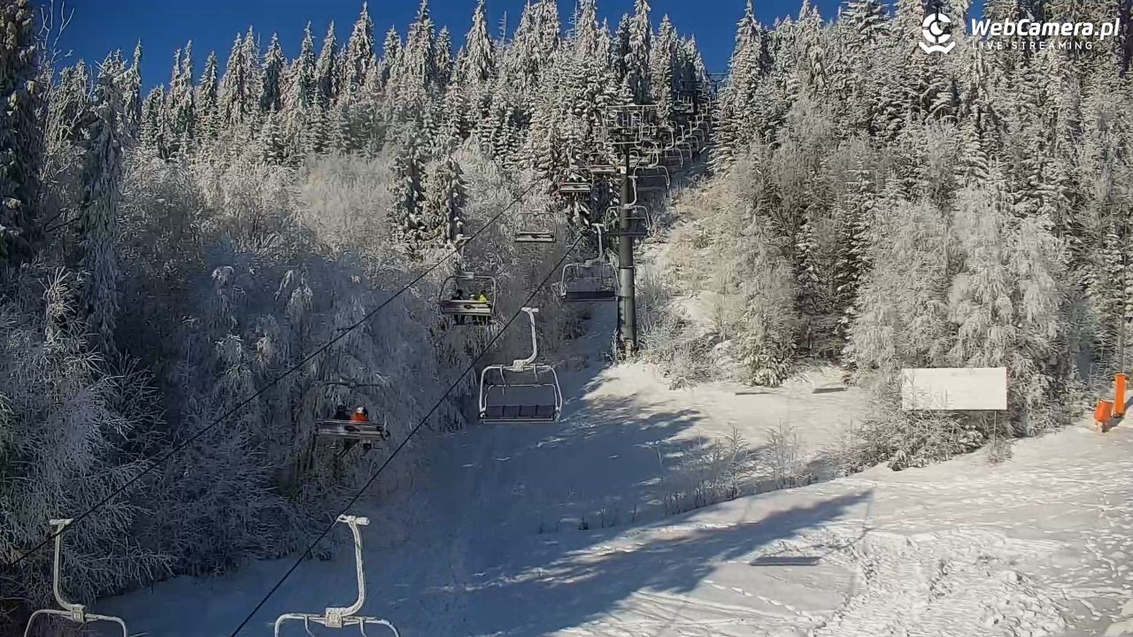 KOTELNICA - Pasieka Express - 01 luty 2026, 10:49