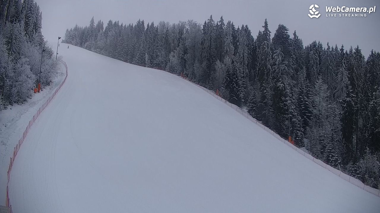 KOTELNICA - Pasieka Express - 02 luty 2026, 09:14