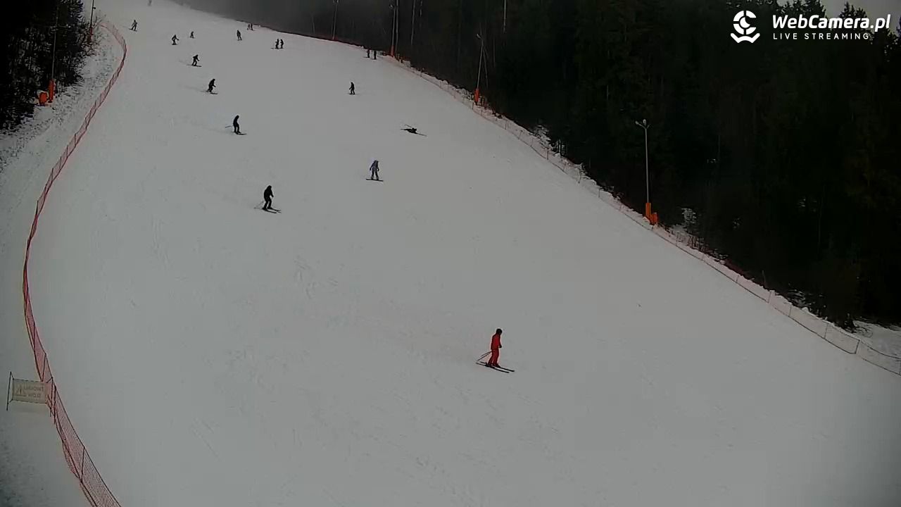 KOTELNICA - Pasieka Express - 07 grudzień 2025, 10:35