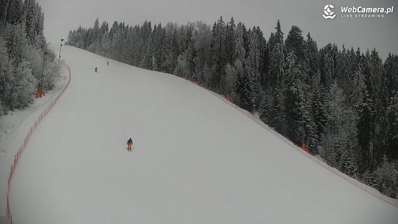 KOTELNICA - Pasieka Express - 02 luty 2026, 09:37