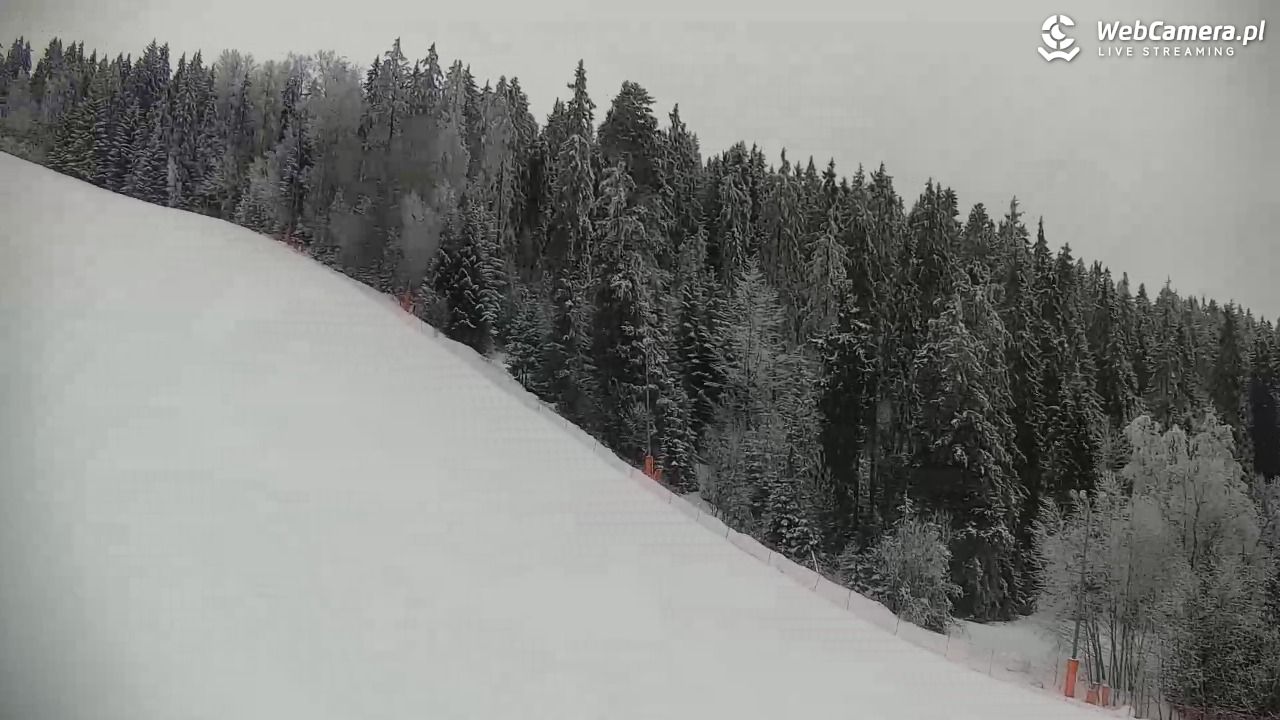 KOTELNICA - Pasieka Express - 02 luty 2026, 08:42