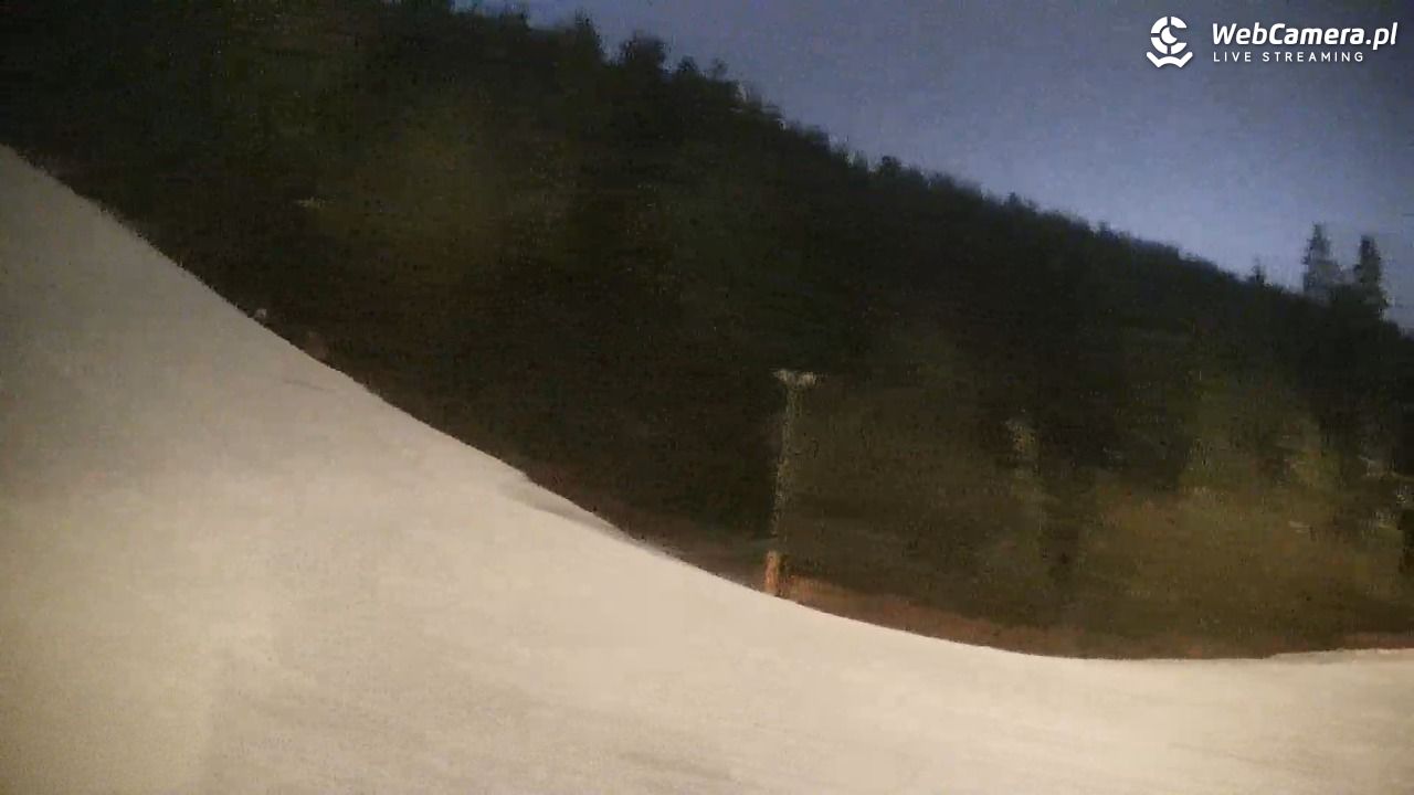 KOTELNICA - Pasieka Express - 17 marzec 2026, 19:36