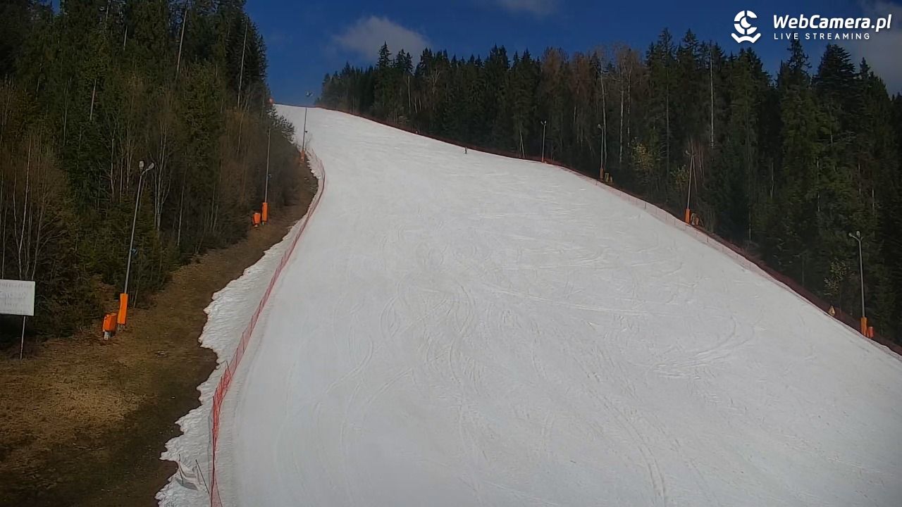 KOTELNICA - Pasieka Express - 19 marzec 2026, 09:48