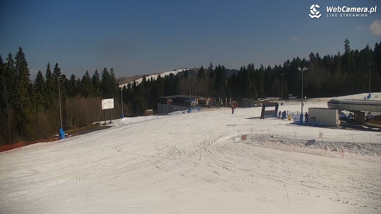 KOTELNICA - Pasieka Express - 18 marzec 2026, 12:06