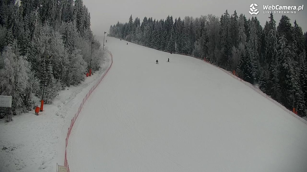 KOTELNICA - Pasieka Express - 01 luty 2026, 15:25