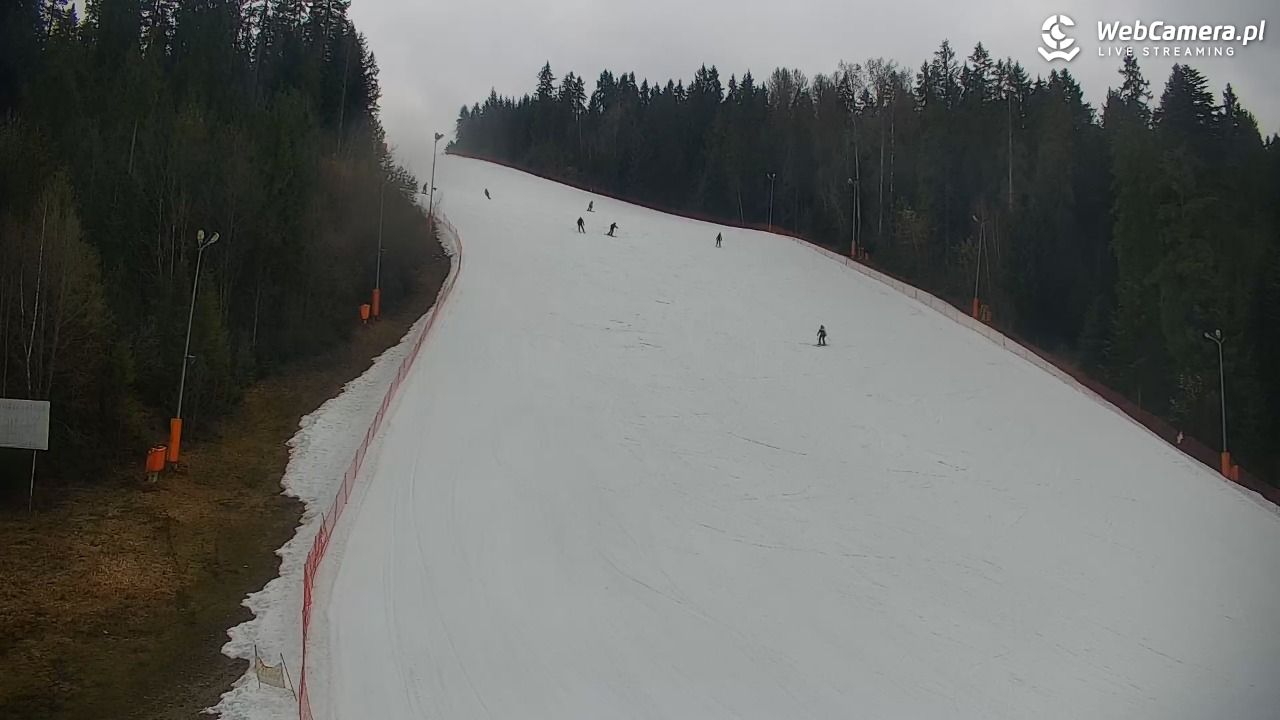 KOTELNICA - Pasieka Express - 17 marzec 2026, 10:47