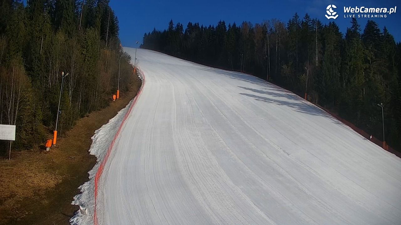 KOTELNICA - Pasieka Express - 19 marzec 2026, 07:50